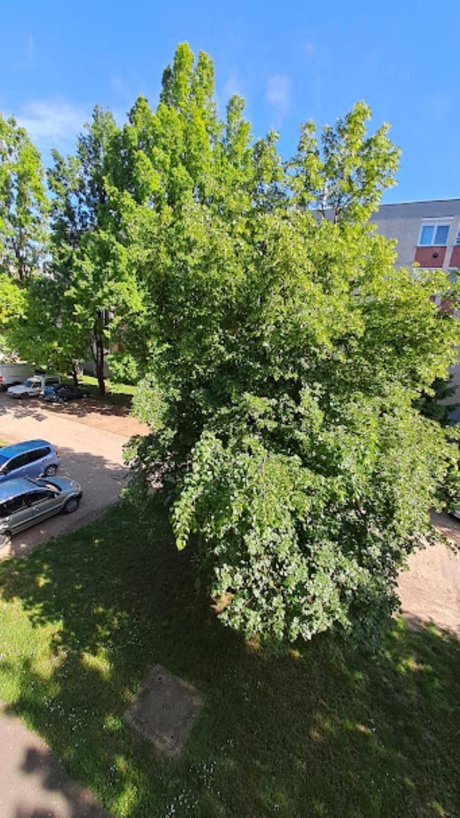 Szilfak City Apartman Hajduszoboszlo Luaran gambar